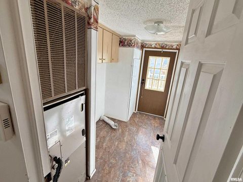 Tiny photo for 2510 STRAWBERRY Road, Brookport, IL 62910 (MLS # EB460713)