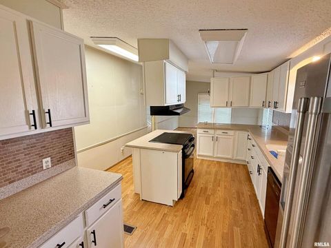 Tiny photo for 2510 STRAWBERRY Road, Brookport, IL 62910 (MLS # EB460713)