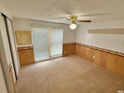 Tiny photo for 2510 STRAWBERRY Road, Brookport, IL 62910 (MLS # EB460713)