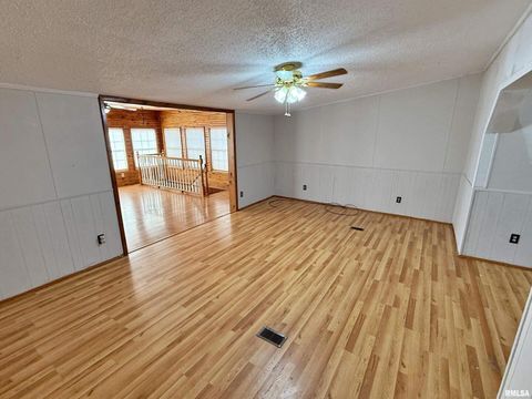 Tiny photo for 2510 STRAWBERRY Road, Brookport, IL 62910 (MLS # EB460713)