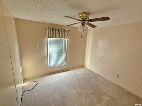 Tiny photo for 2510 STRAWBERRY Road, Brookport, IL 62910 (MLS # EB460713)