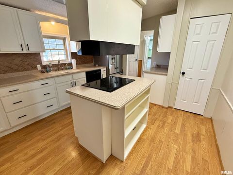 Tiny photo for 2510 STRAWBERRY Road, Brookport, IL 62910 (MLS # EB460713)