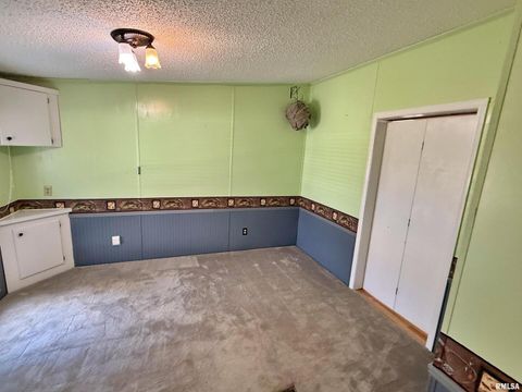 Tiny photo for 2510 STRAWBERRY Road, Brookport, IL 62910 (MLS # EB460713)