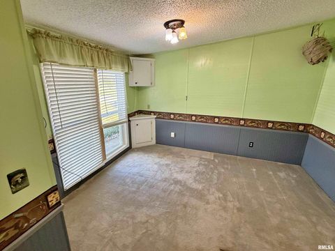 Tiny photo for 2510 STRAWBERRY Road, Brookport, IL 62910 (MLS # EB460713)