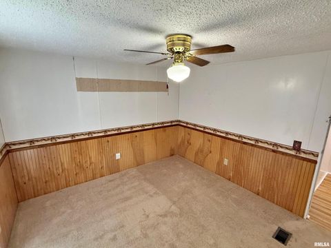 Tiny photo for 2510 STRAWBERRY Road, Brookport, IL 62910 (MLS # EB460713)