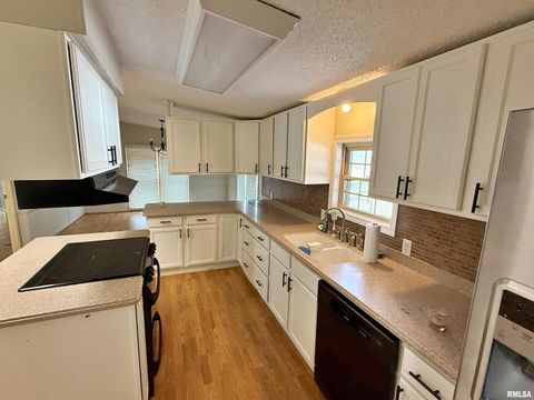 Tiny photo for 2510 STRAWBERRY Road, Brookport, IL 62910 (MLS # EB460713)