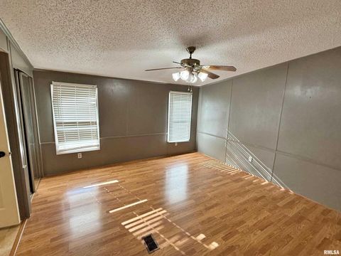 Tiny photo for 2510 STRAWBERRY Road, Brookport, IL 62910 (MLS # EB460713)