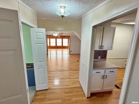 Tiny photo for 2510 STRAWBERRY Road, Brookport, IL 62910 (MLS # EB460713)