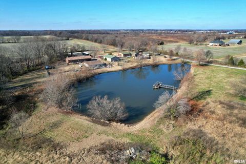 Tiny photo for 2510 STRAWBERRY Road, Brookport, IL 62910 (MLS # EB460713)