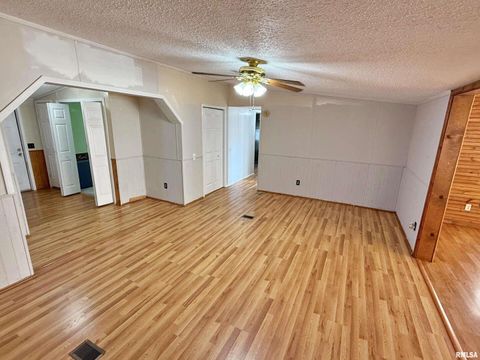 Tiny photo for 2510 STRAWBERRY Road, Brookport, IL 62910 (MLS # EB460713)