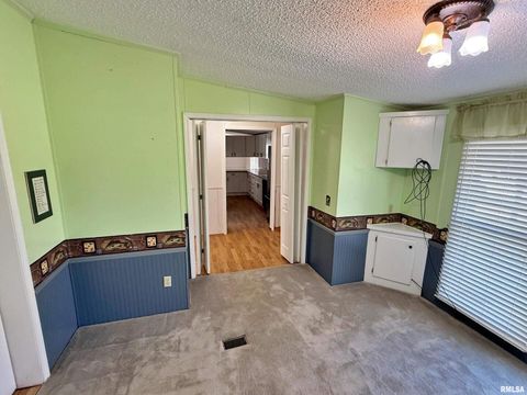 Tiny photo for 2510 STRAWBERRY Road, Brookport, IL 62910 (MLS # EB460713)