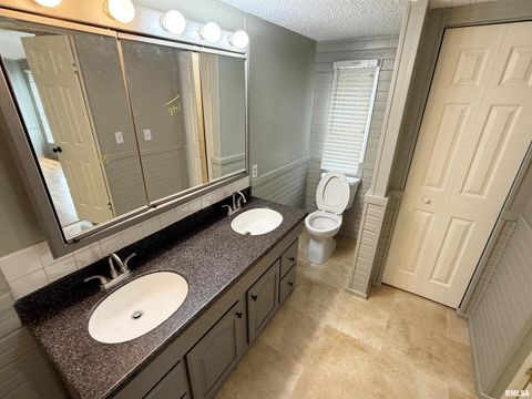 Tiny photo for 2510 STRAWBERRY Road, Brookport, IL 62910 (MLS # EB460713)