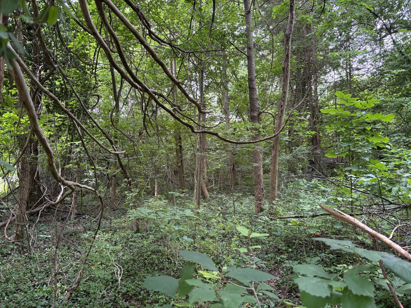 3258 Grassy Road