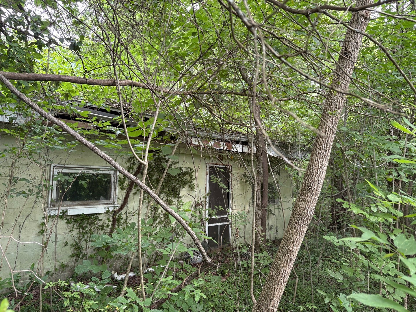 3258 Grassy Road