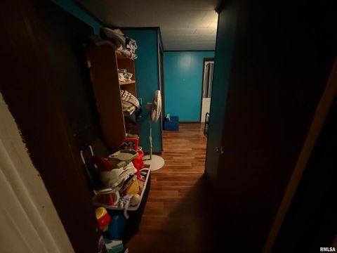 Tiny photo for 41 Cache Avenue, Buncombe, IL 62912 (MLS # EB458514)