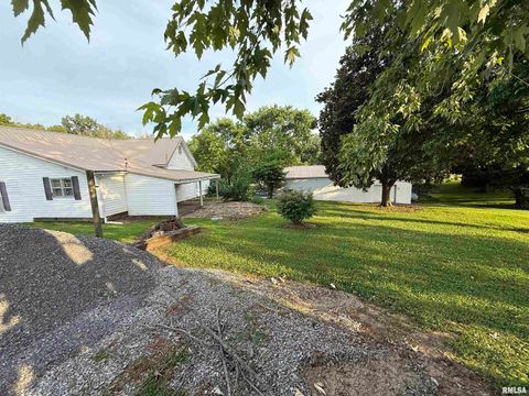 Tiny photo for 41 Cache Avenue, Buncombe, IL 62912 (MLS # EB458514)