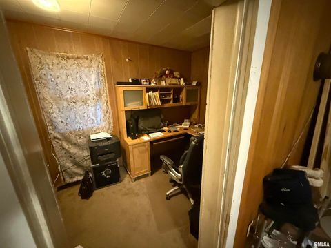 Tiny photo for 41 Cache Avenue, Buncombe, IL 62912 (MLS # EB458514)