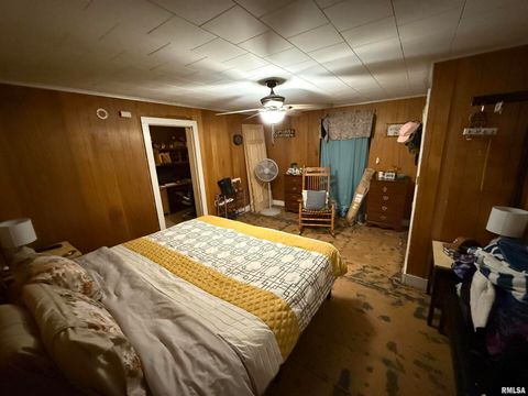 Tiny photo for 41 Cache Avenue, Buncombe, IL 62912 (MLS # EB458514)