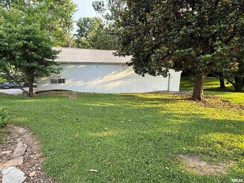 Tiny photo for 41 Cache Avenue, Buncombe, IL 62912 (MLS # EB458514)