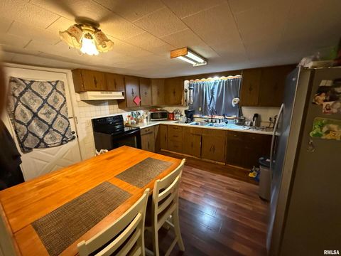 Tiny photo for 41 Cache Avenue, Buncombe, IL 62912 (MLS # EB458514)