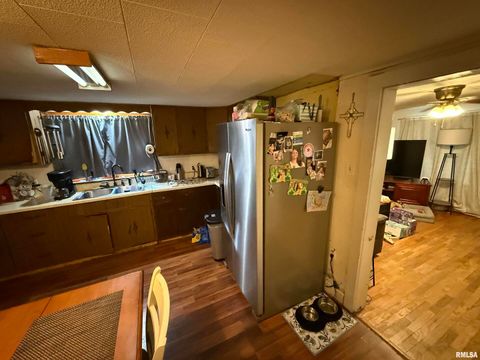 Tiny photo for 41 Cache Avenue, Buncombe, IL 62912 (MLS # EB458514)