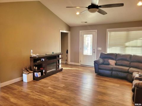 Tiny photo for 42 COUNTY LINE Road, Grand Chain, IL 62941 (MLS # EB460782)