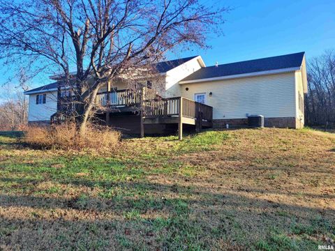 Tiny photo for 42 COUNTY LINE Road, Grand Chain, IL 62941 (MLS # EB460782)