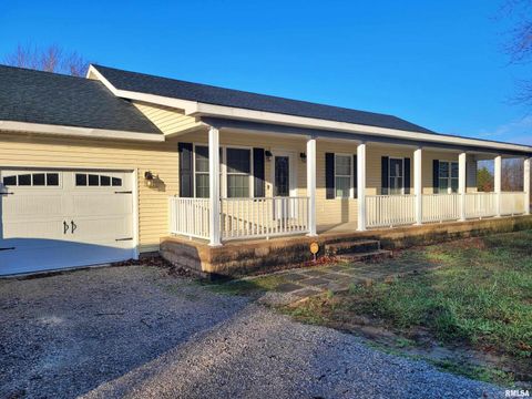 Tiny photo for 42 COUNTY LINE Road, Grand Chain, IL 62941 (MLS # EB460782)