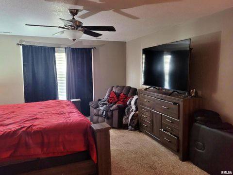 Tiny photo for 42 COUNTY LINE Road, Grand Chain, IL 62941 (MLS # EB460782)