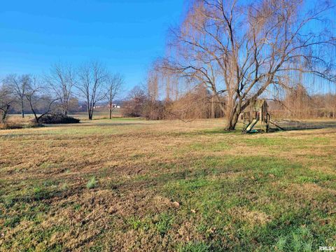 Tiny photo for 42 COUNTY LINE Road, Grand Chain, IL 62941 (MLS # EB460782)