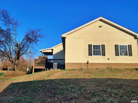 Tiny photo for 42 COUNTY LINE Road, Grand Chain, IL 62941 (MLS # EB460782)