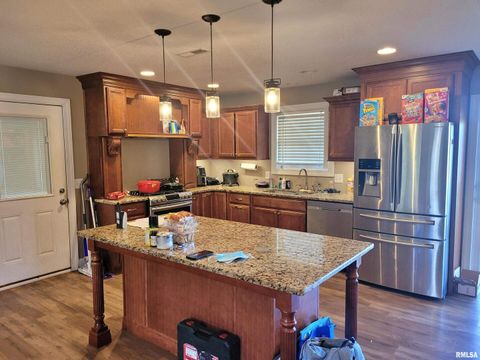 Tiny photo for 42 COUNTY LINE Road, Grand Chain, IL 62941 (MLS # EB460782)