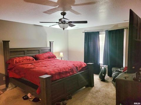 Tiny photo for 42 COUNTY LINE Road, Grand Chain, IL 62941 (MLS # EB460782)