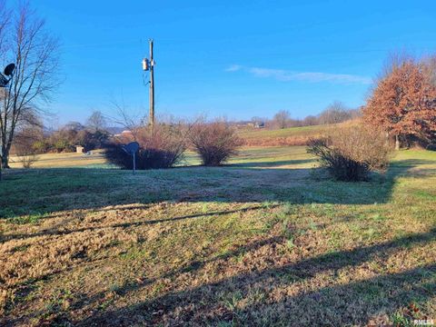 Tiny photo for 42 COUNTY LINE Road, Grand Chain, IL 62941 (MLS # EB460782)