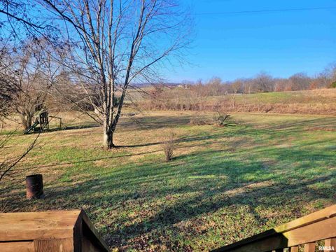 Tiny photo for 42 COUNTY LINE Road, Grand Chain, IL 62941 (MLS # EB460782)