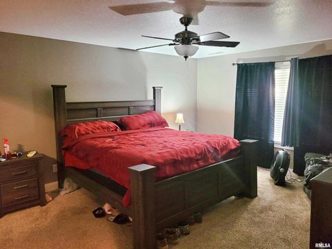 Tiny photo for 42 COUNTY LINE Road, Grand Chain, IL 62941 (MLS # EB460782)