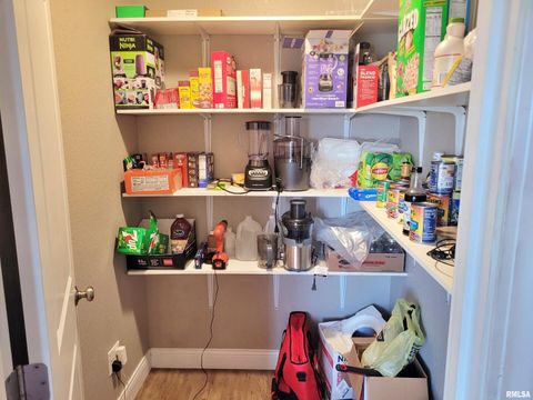 Tiny photo for 42 COUNTY LINE Road, Grand Chain, IL 62941 (MLS # EB460782)