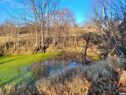 Tiny photo for 42 COUNTY LINE Road, Grand Chain, IL 62941 (MLS # EB460782)