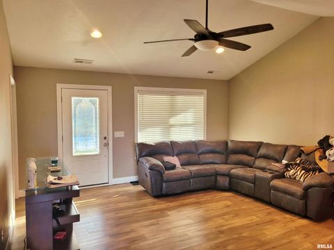 Tiny photo for 42 COUNTY LINE Road, Grand Chain, IL 62941 (MLS # EB460782)