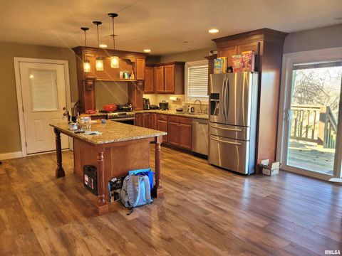 Tiny photo for 42 COUNTY LINE Road, Grand Chain, IL 62941 (MLS # EB460782)