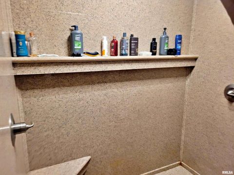 Tiny photo for 42 COUNTY LINE Road, Grand Chain, IL 62941 (MLS # EB460782)