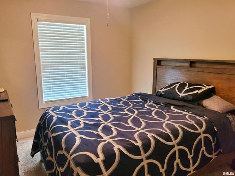 Tiny photo for 42 COUNTY LINE Road, Grand Chain, IL 62941 (MLS # EB460782)