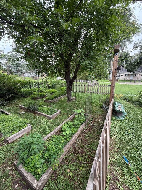 Tiny photo for 47 W Algonquin Road, Des Plaines, IL 60016 (MLS # 12696487)
