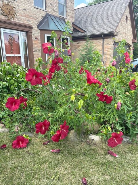 Tiny photo for 1724 Hartford Lane, Crystal Lake, IL 60014 (MLS # 12463747)