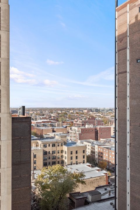 Tiny photo for Chicago, IL 60657 (MLS # 12513949)