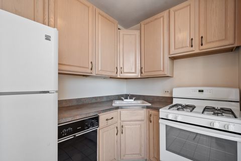 Tiny photo for Chicago, IL 60657 (MLS # 12513949)