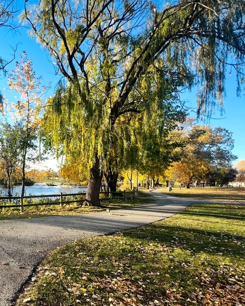 Tiny photo for 5721 W 103rd Street #203, Oak Lawn, IL 60453 (MLS # 12636714)