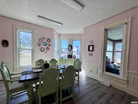 Tiny photo for 1415 4TH Street, Fulton, IL 61252 (MLS # QC4267761)