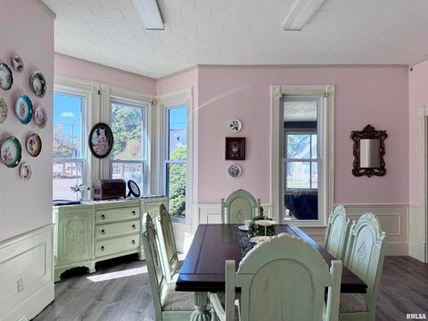 Tiny photo for 1415 4TH Street, Fulton, IL 61252 (MLS # QC4267761)