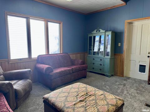 Tiny photo for 1415 4TH Street, Fulton, IL 61252 (MLS # QC4267761)